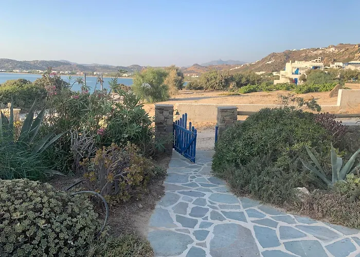 House Of The Rising Sun