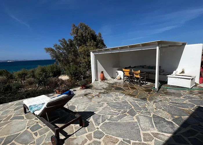 House Of The Rising Sun * מיקרי ויגלה